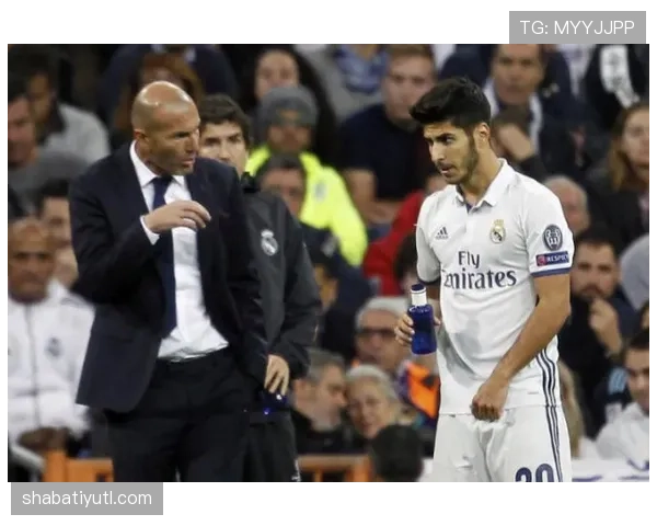 维尼修斯与阿森西奥主力之争的战术适配差异分析